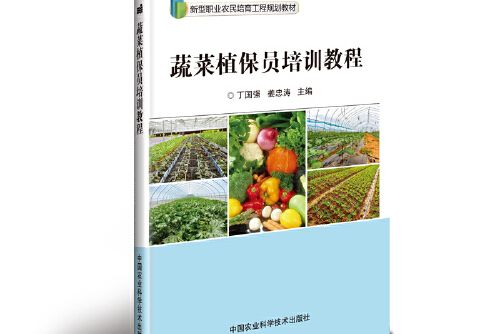 蔬菜植保員培訓教程(2018年中國農業科學技術出版社出版的圖書)