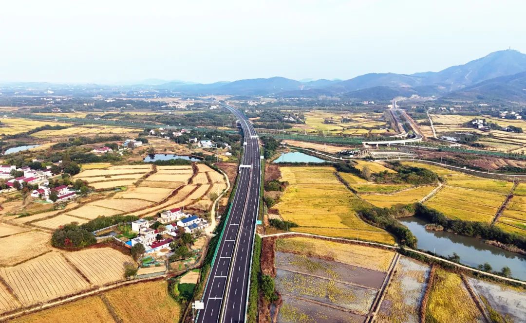 無為—岳西高速公路