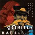 Gorilla Bathes at Noon