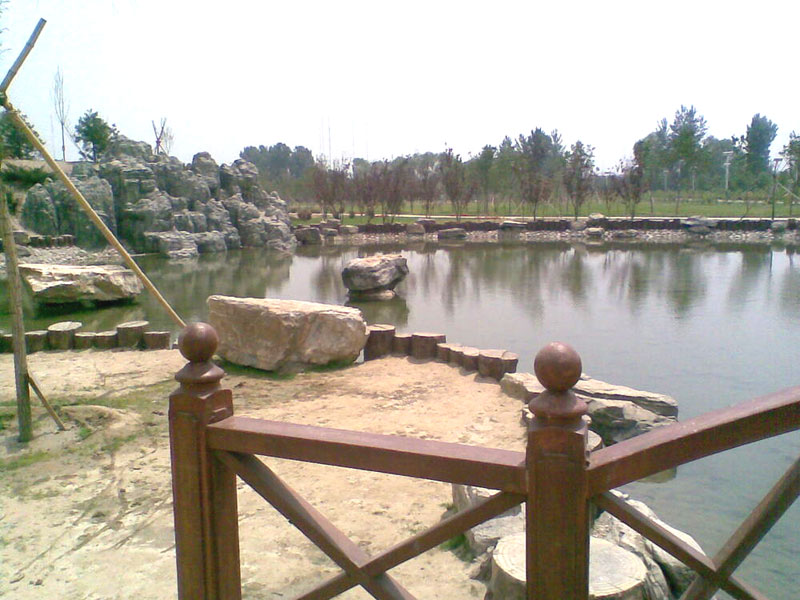 杜仲公園一景