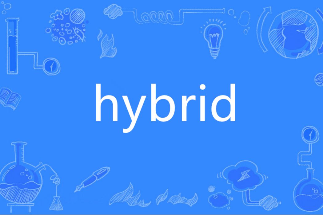 Hybrid(英語單詞)