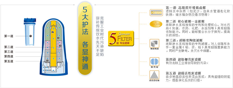 派斯金濾媒淨水器