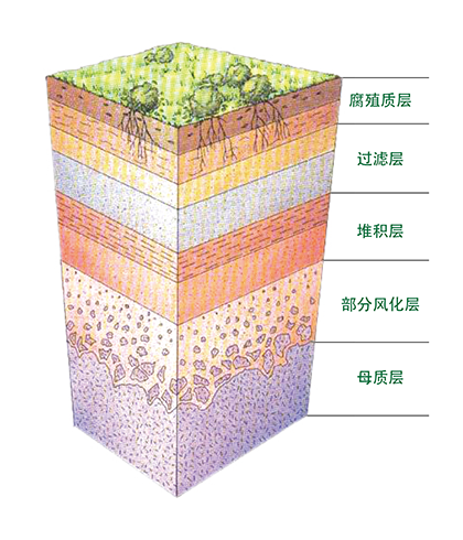 土壤化學吸收性