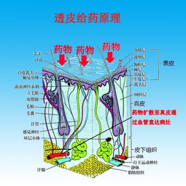 透皮給藥系統