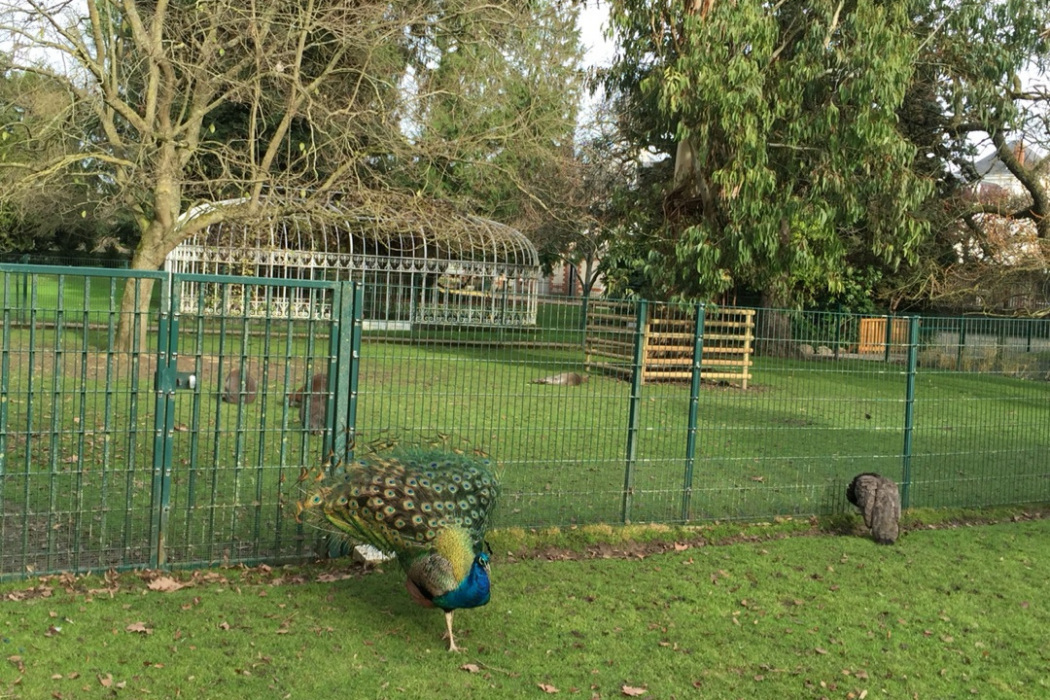 辛辛那堤動物和植物園