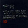 中國企業概況(1)
