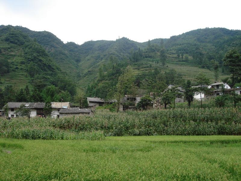 吳家寨自然村(雨河鎮樂利村委會下轄自然村)