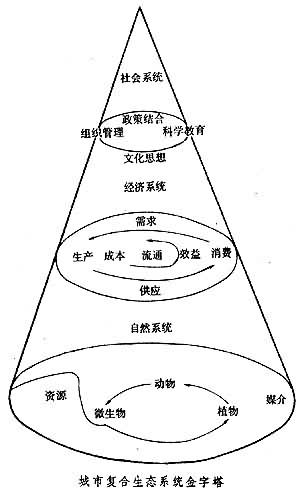 城市生態系統組成