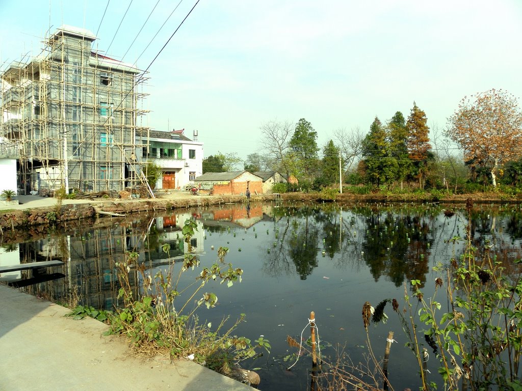 社前村(福建省龍巖市永定區撫市鎮下轄村)