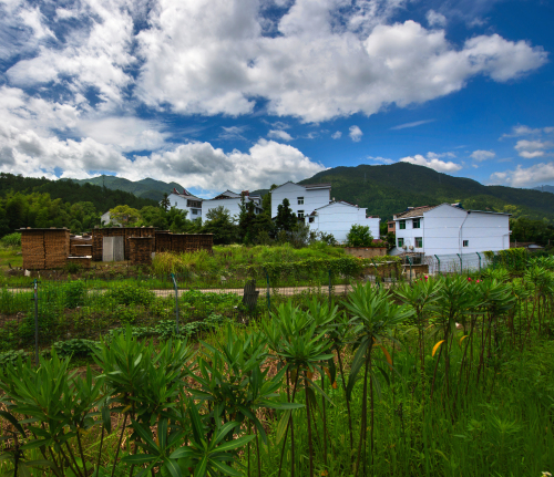 山腳村