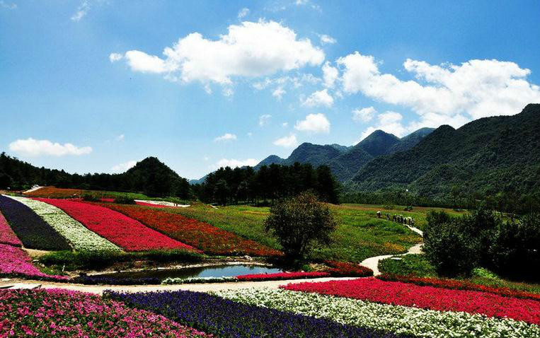 紅池壩國家森林公園