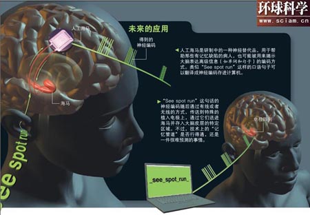 腦對腦交流系統