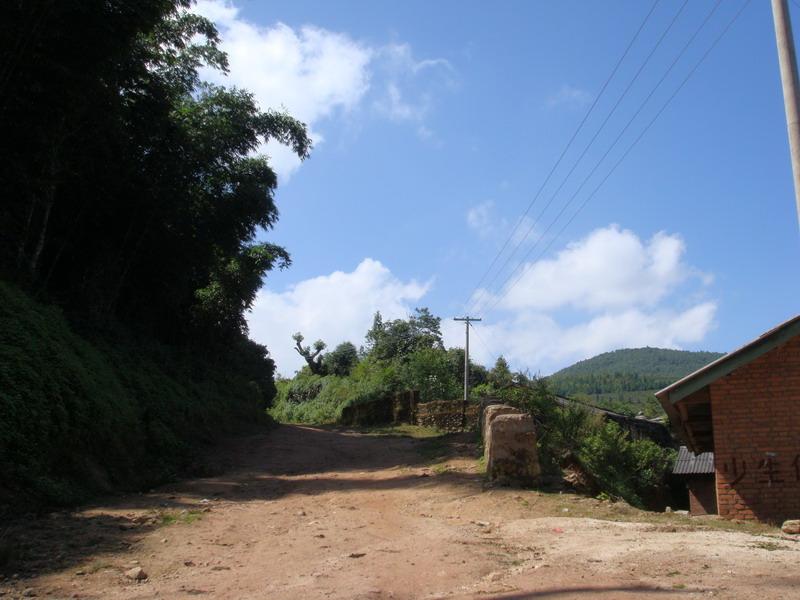 進村道路