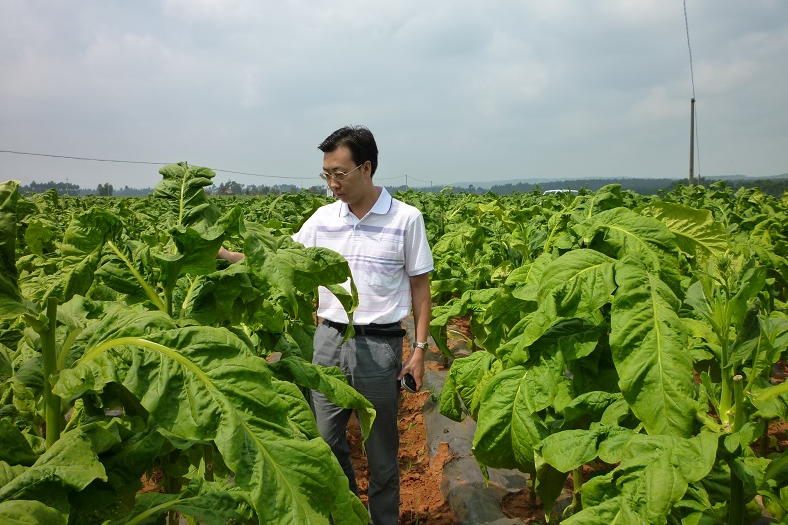 王小東(河南科技大學農學院副教授，碩士生導師)