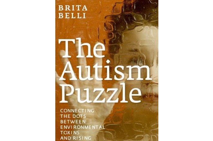 The Autism Puzzle