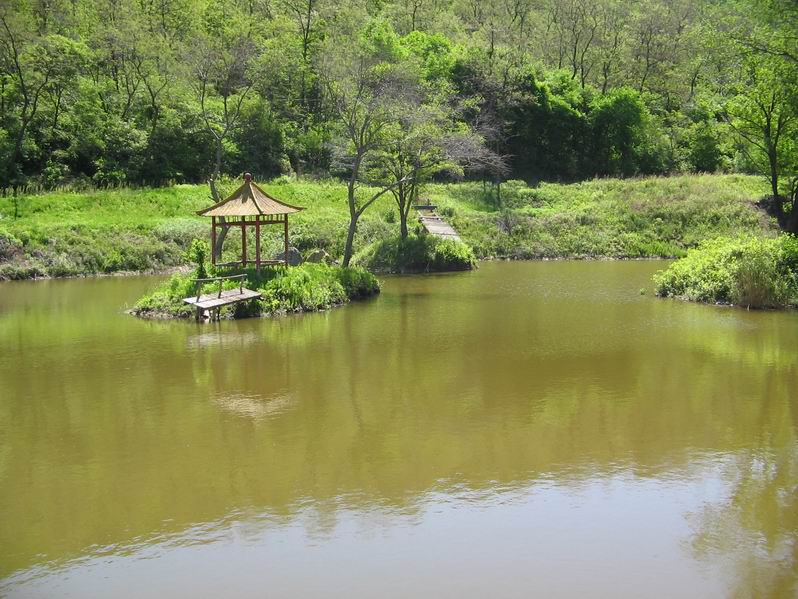 遼寧瀋陽國家森林公園