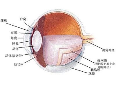 近視眼併發症狀