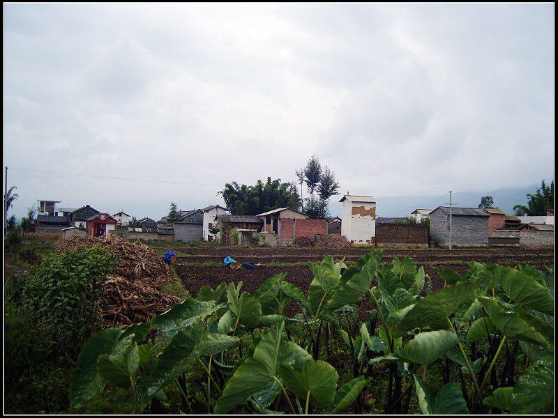 章崗陳家莊村