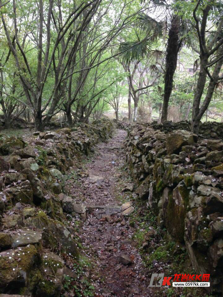 漳溪坑頭村