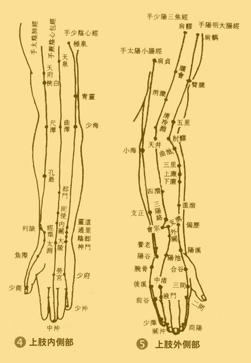 穴點陣圖譜