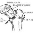 露出骨頭的骨折