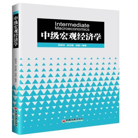 中級總量經濟學(2017年中國經濟出版社出版的圖書)