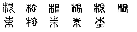 根(漢語詞語)