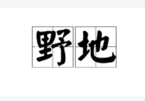 野地(詞語)