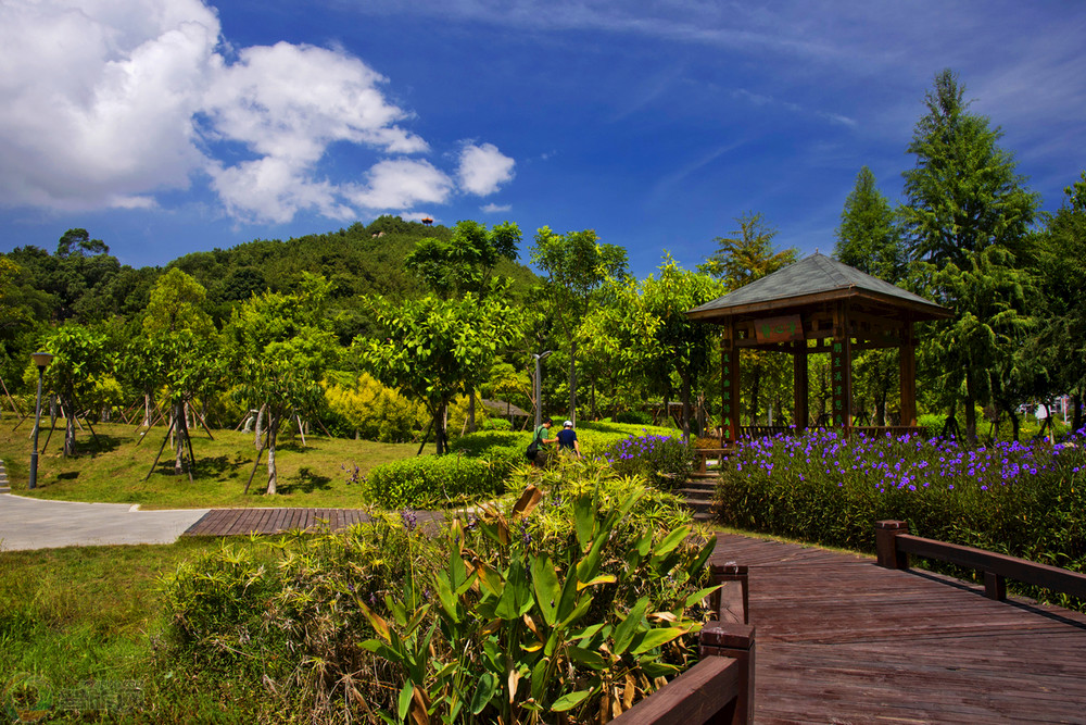 南太武山地生態園