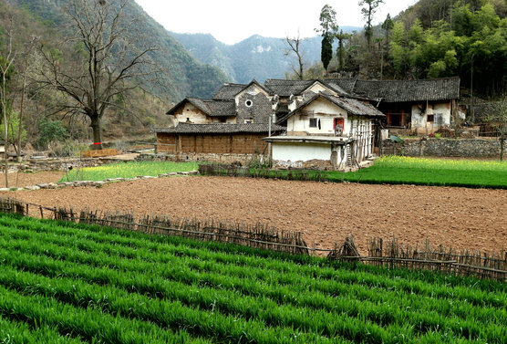 巡檢鎮(湖北南漳縣巡檢鎮)