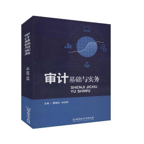 審計基礎與實務(2020年北京理工大學出版社出版的圖書)