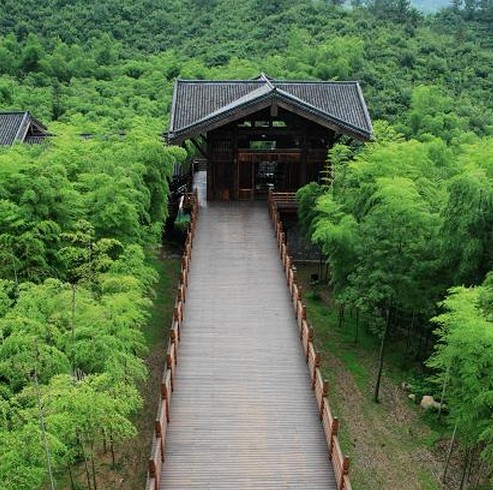 顧渚山茶園