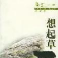 想起草原(2000年長江文藝出版社出版的圖書)