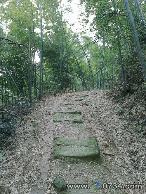 野莓谷茶馬古道