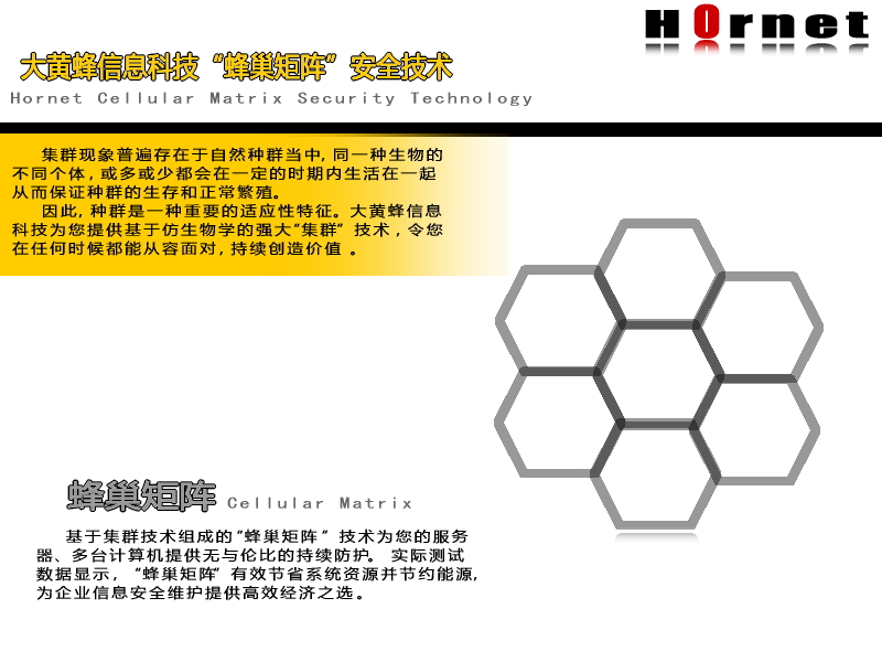 大黃蜂信息科技有限公司