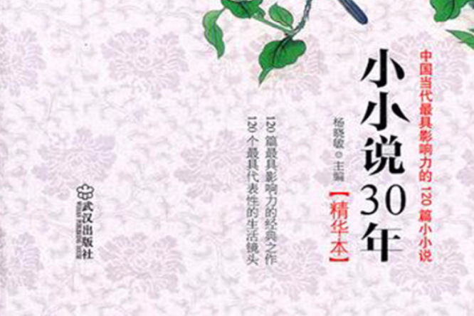 小小說30年精華本：中國當代最具影響力的120篇小小說