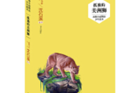動物小說精品少年讀本——孤獨的美洲獅