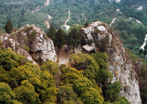 鷲峰森林