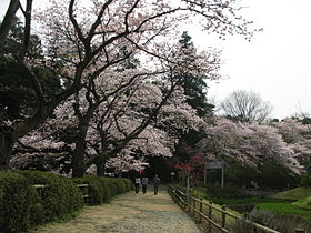 清水公園