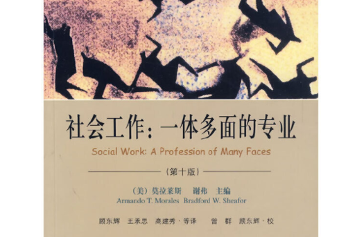 社會工作(2008年上海社會科學院出版社出版的圖書)