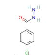 4-氯苯甲酸肼