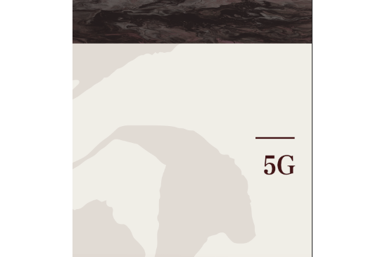 5G(2021年黨建讀物出版社出版的圖書)