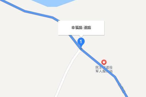 幸福路(四川省中江縣通山鄉幸福路)