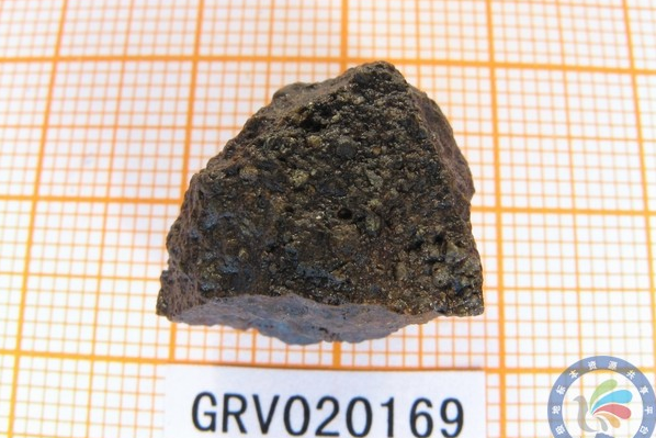南極隕石GRV020169