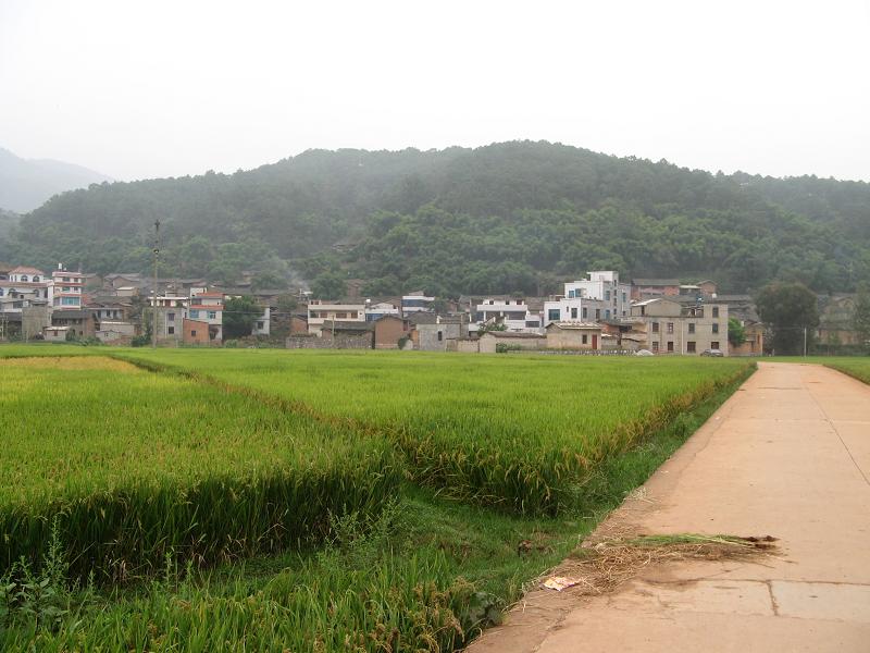 回輝村(海南省三亞市鳳凰鎮回輝村)