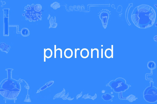 phoronid