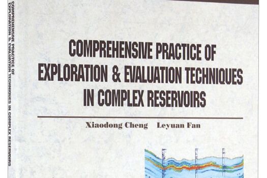 複雜油氣藏勘探評價技術及套用（英文版）
