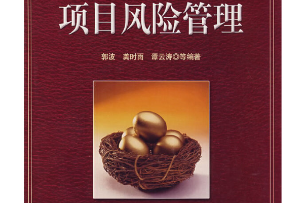 項目風險管理(2007年電子工業出版社出版的圖書)