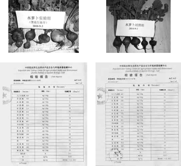 生物電磁波