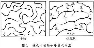 硫化中橡膠分子變化圖